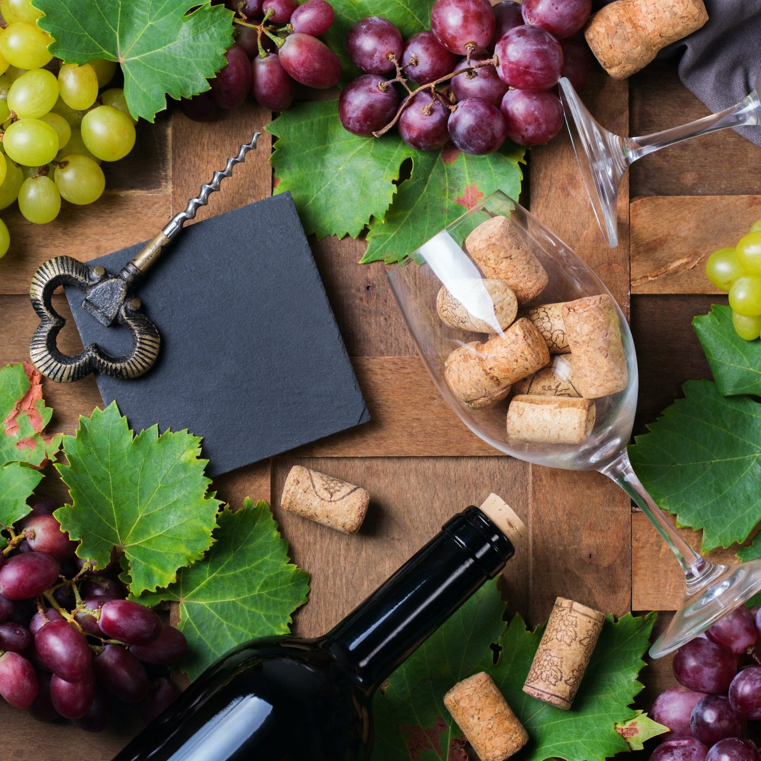 Wine tasting and degustation concept. Grape vine, bottle, glasses, corkscrew